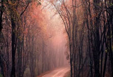 和顺县：太行屏障下的零感染坚守与防控逻辑_16687