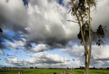 和顺县：太行屏障下的零感染坚守与防控逻辑_16687