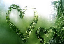 新化：雪峰山屏障下的常态化防控样本